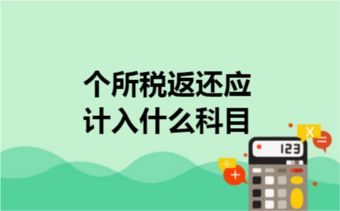 个所税返还应计入什么科目