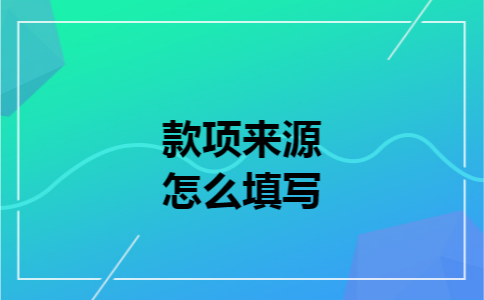 款项来源怎么填写
