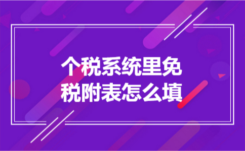 个税系统里免税附表怎么填
