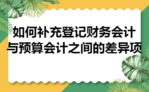 如何补充登记财务会计与预算会计之间的差异项