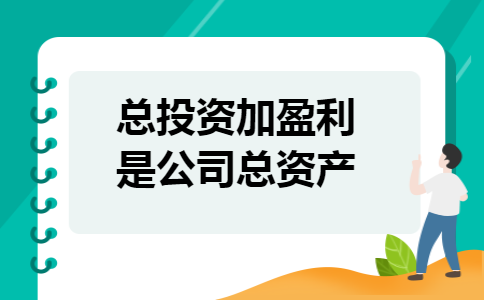 总投资加盈利是公司总资产