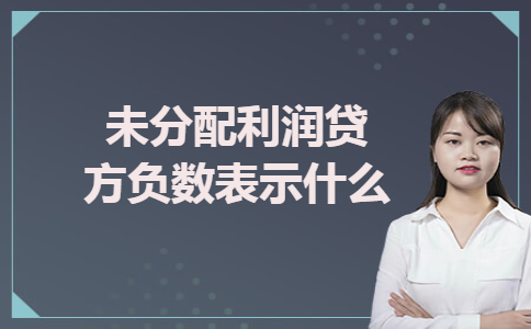 未分配利润贷方负数表示什么