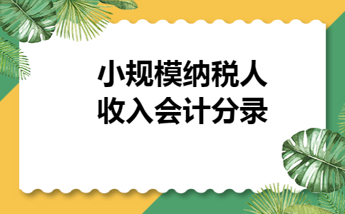 小规模纳税人收入会计分录