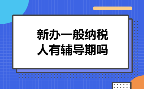 新办一般纳税人有辅导期吗
