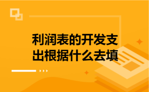 利润表的开发支出根据什么去填