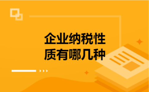 企业纳税性质有哪几种