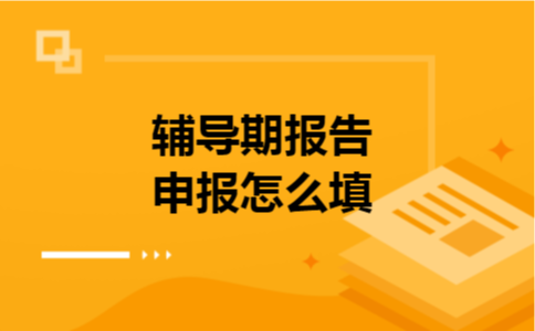 辅导期报告申报怎么填