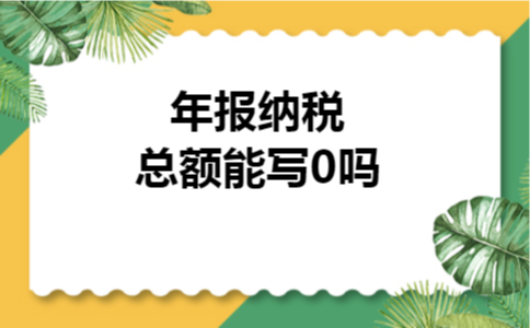 年报纳税总额能写0吗