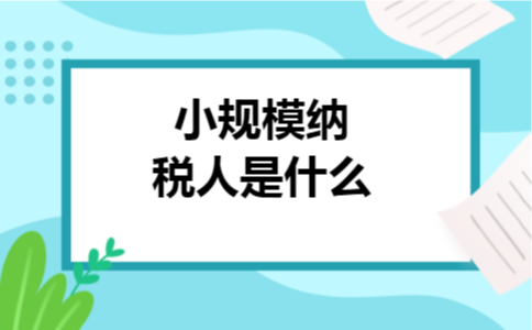 小规模纳税人是什么