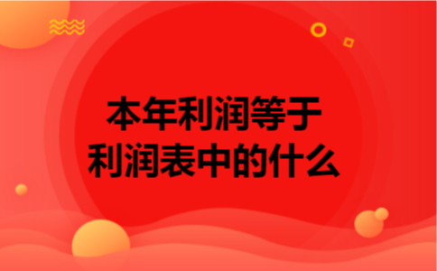 本年利润等于利润表中的什么