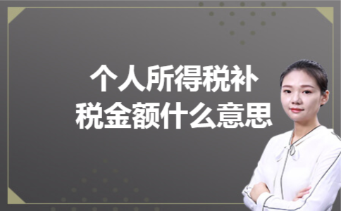 个人所得税补税金额什么意思