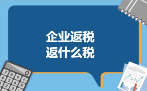 企业返税返什么税