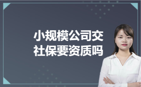 小规模公司交社保要资质吗