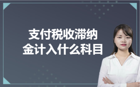 支付税收滞纳金计入什么科目