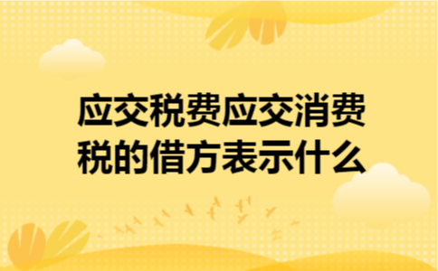 应交税费应交消费税的借方表示什么