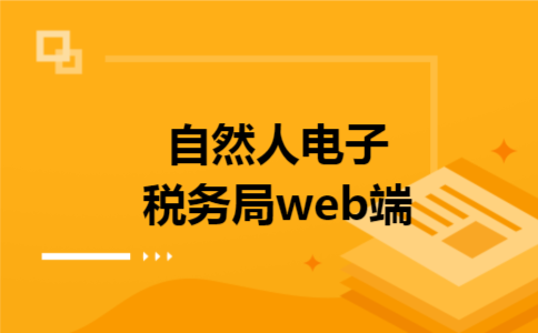  自然人电子税务局web端