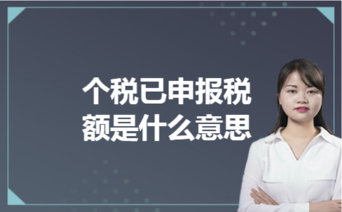  个税已申报税额是什么意思