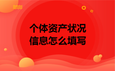 个体资产状况信息怎么填写