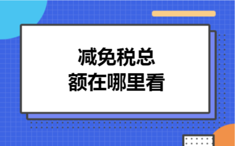 减免税总额在哪里看