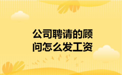  公司聘请的顾问怎么发工资
