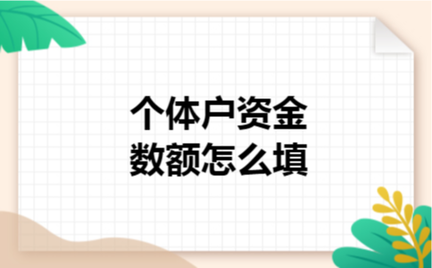个体户资金数额怎么填