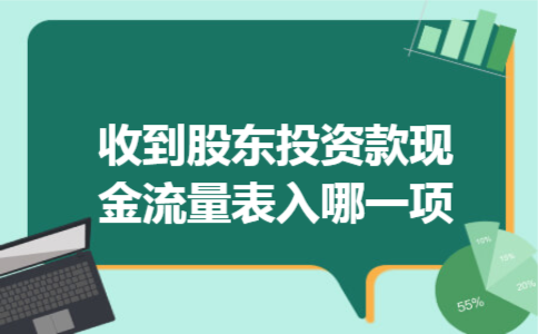  收到股东投资款现金流量表入哪一项
