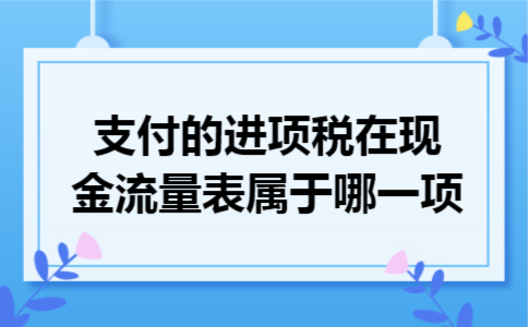 支付的进项税在现金流量表属于哪一项