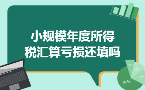 小规模年度所得税汇算亏损还填吗小规模年度所得税汇算亏损还填吗