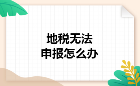  地税无法申报怎么办