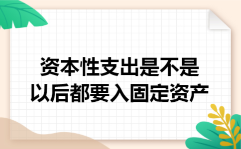 资本性支出是不是以后都要入固定资产