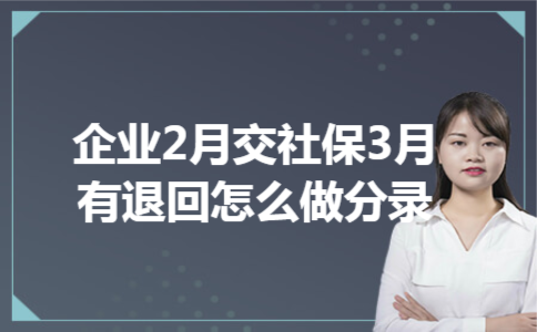  企业2月交社保3月有退回怎么做分录