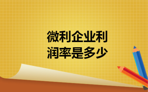 微利企业利润率是多少