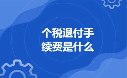个税退付手续费是什么
