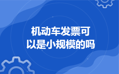 机动车发票可以是小规模的吗