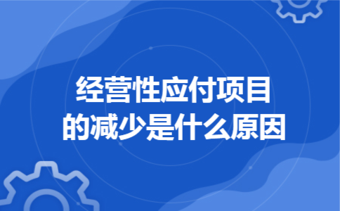 经营性应付项目的减少是什么原因