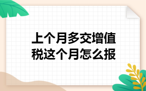 上个月多交增值税这个月怎么报