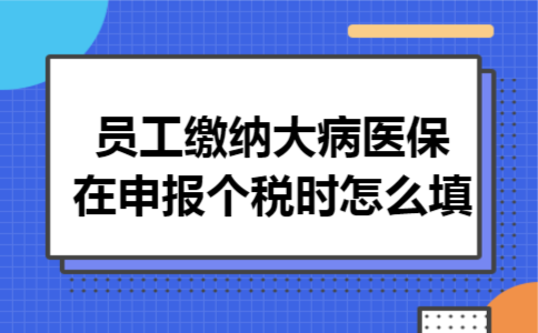 员工缴纳大病医保在申报个税时怎么填