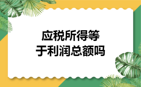 应税所得等于利润总额吗