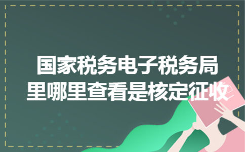  国家税务电子税务局里哪里查看是核定征收