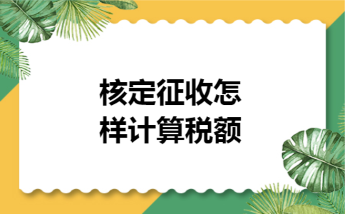 核定征收怎样计算税额