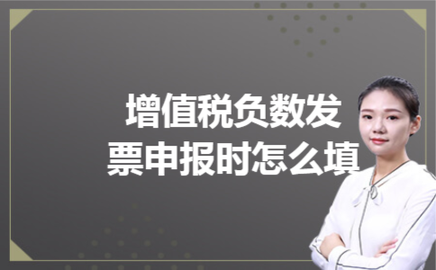 增值税负数发票申报时怎么填