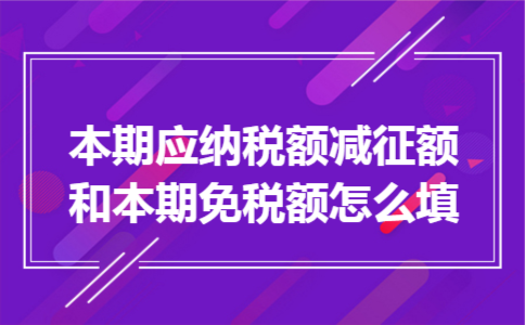 本期应纳税额减征额和本期免税额怎么填