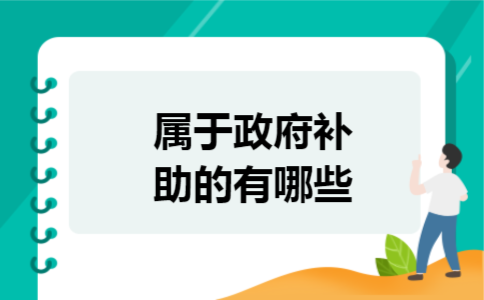 属于政府补助的有哪些