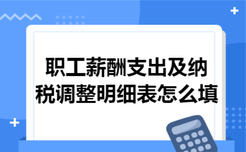 职工薪酬支出及纳税调整明细表怎么填