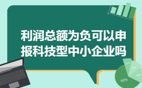 利润总额为负可以申报科技型中小企业吗