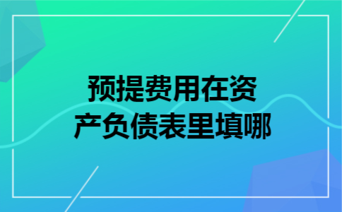 预提费用在资产负债表里填哪
