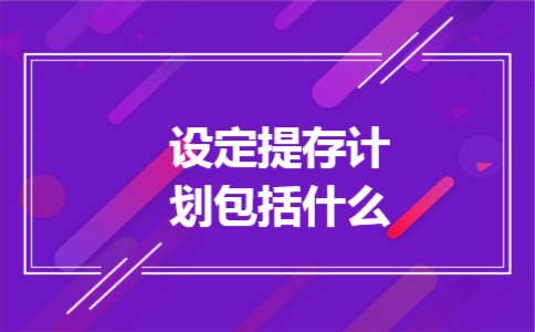 设定提存计划包括什么